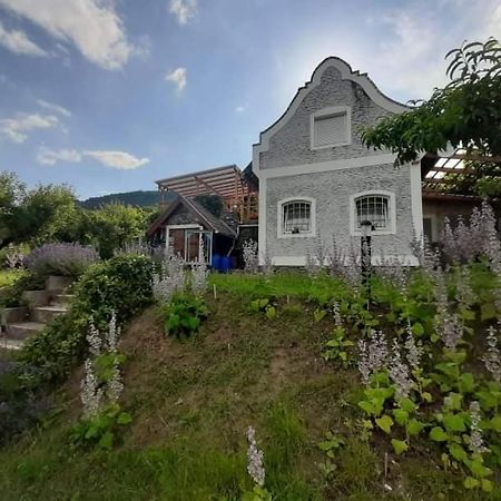 Vulcano Vendégház Kisapati Exterior foto