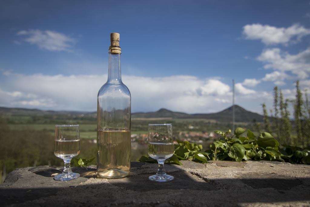 Vulcano Vendégház Kisapati Exterior foto